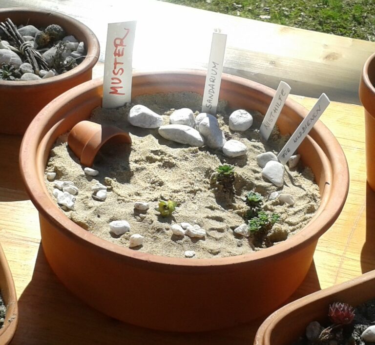 Sand für ein Sandarium Hortus Girasole